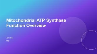 Mitochondrial ATP Synthase Function Overview PPT Slides AT