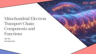 Mitochondrial Electron Transport Chain Components And Functions PPT Information AT