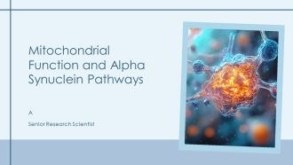 Mitochondrial Function And Alpha Synuclein Pathways PPT Slides AT