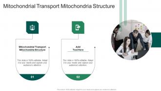 Mitochondrial Transport Mitochondria Structure In Powerpoint And Google Slides Cpb