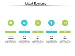 Mixed economy ppt powerpoint presentation infographic template graphic tips cpb