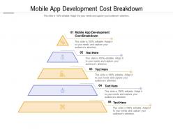 Mobile app development cost breakdown ppt presentation layouts background cpb