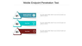Mobile endpoint penetration test ppt powerpoint presentation show deck cpb