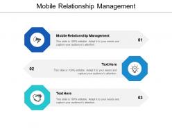 Mobile relationship management ppt powerpoint presentation ideas pictures cpb