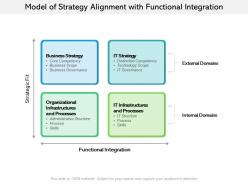 Model of strategy alignment with functional integration