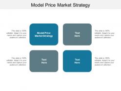 Model price market strategy ppt powerpoint presentation portfolio guide cpb