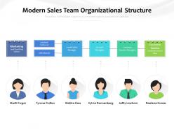 Modern sales team organizational structure