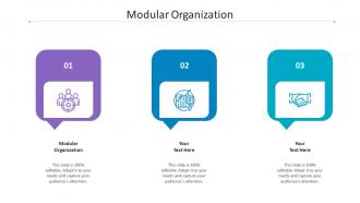 Modular Organization Ppt Powerpoint Presentation File Ideas Cpb