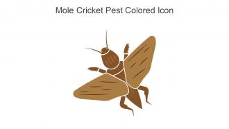 Mole Cricket Pest Colored Icon In Powerpoint Pptx Png And Editable Eps Format