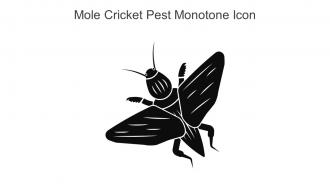 Mole Cricket Pest Monotone Icon In Powerpoint Pptx Png And Editable Eps Format