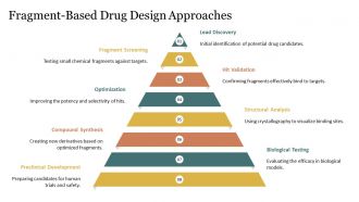 Molecular Docking Rational Drug Development PPT Graphics AT Captivating Analytical