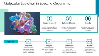 Molecular Evolution In Specific Organisms Molecular Evolution PPT Slides ACP