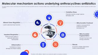 Molecular Mechanism Actions Underlying Anthracyclines Antibiotics Ppt Template