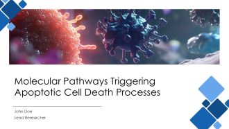 Molecular Pathways Triggering Apoptotic Cell Death Processes PPT Slides AT