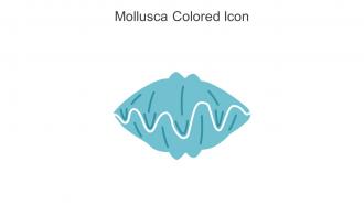 Mollusca Colored Icon In Powerpoint Pptx Png And Editable Eps Format