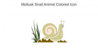 Mollusk Snail Animal Colored Icon In Powerpoint Pptx Png And Editable Eps Format