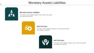 Monetary Assets Liabilities Ppt PowerPoint Presentation File Format Cpb