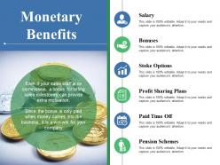Monetary benefits salary bonuses stoke options profit sharing plans