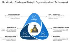 Monetization challenges strategic organizational and technological