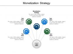 Monetization strategy ppt powerpoint presentation pictures show cpb