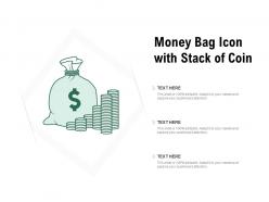 Money bag icon with stack of coin