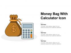 Money Bag With Calculator Icon