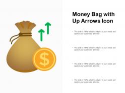 Money bag with up arrows icon