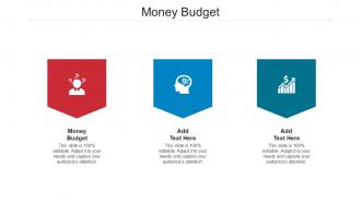 Money Budget Ppt Powerpoint Presentation Inspiration Design Ideas Cpb