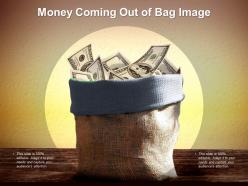 Money coming out of bag image