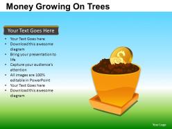 Money growing on trees powerpoint presentation slides db