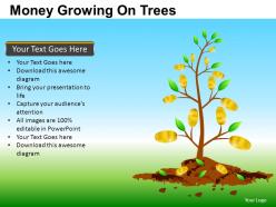 Money growing on trees powerpoint presentation slides db
