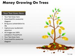 Money growing on trees ppt 10