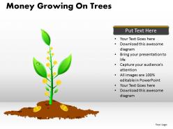 Money Growing on Trees PPT 11