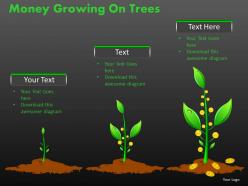 Money Growing on Trees PPT 12