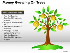 Money growing on trees ppt 13