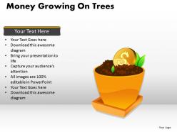 Money growing on trees ppt 2