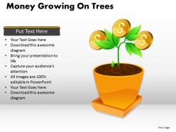 Money growing on trees ppt 3