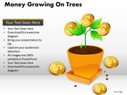 Money Growing on Trees PPT 4