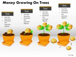 Money growing on trees ppt 5