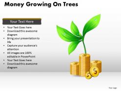 Money growing on trees ppt 6