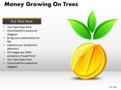 Money Growing on Trees PPT 7