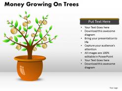 Money growing on trees ppt 9