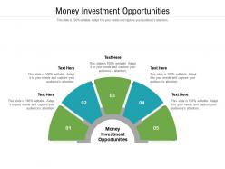 Money investment opportunities ppt powerpoint presentation infographic template influencers cpb