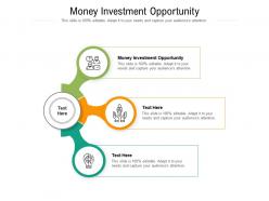 Money investment opportunity ppt powerpoint presentation gallery elements cpb
