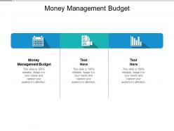 Money management budget ppt powerpoint presentation model example cpb