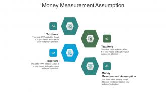 Money measurement assumption ppt powerpoint presentation professional icons cpb