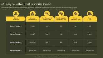 Money Transfer Cost Analysis Sheet