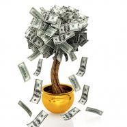 Money tree with dollar notes as leaves in pot stock photo