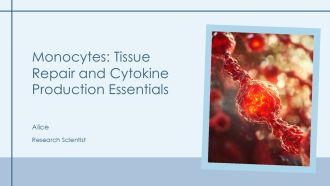Monocytes Tissue Repair And Cytokine Production Essentials PPT Structure AT