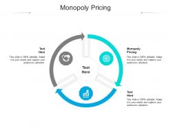 Monopoly pricing ppt powerpoint presentation ideas files cpb
